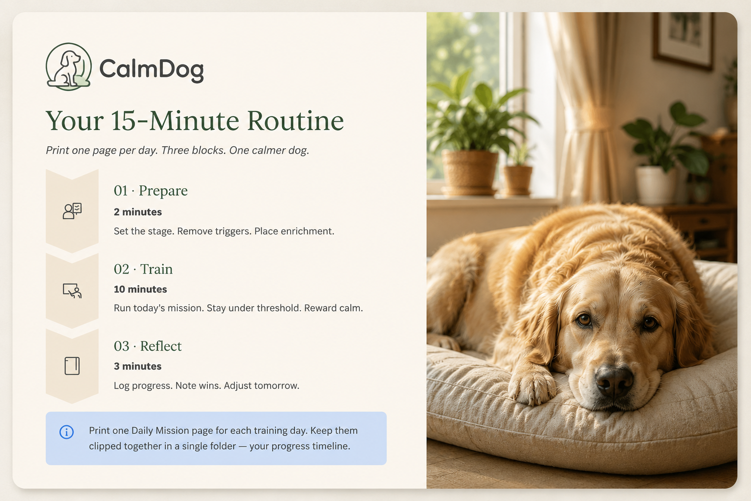 The 15-minute routine