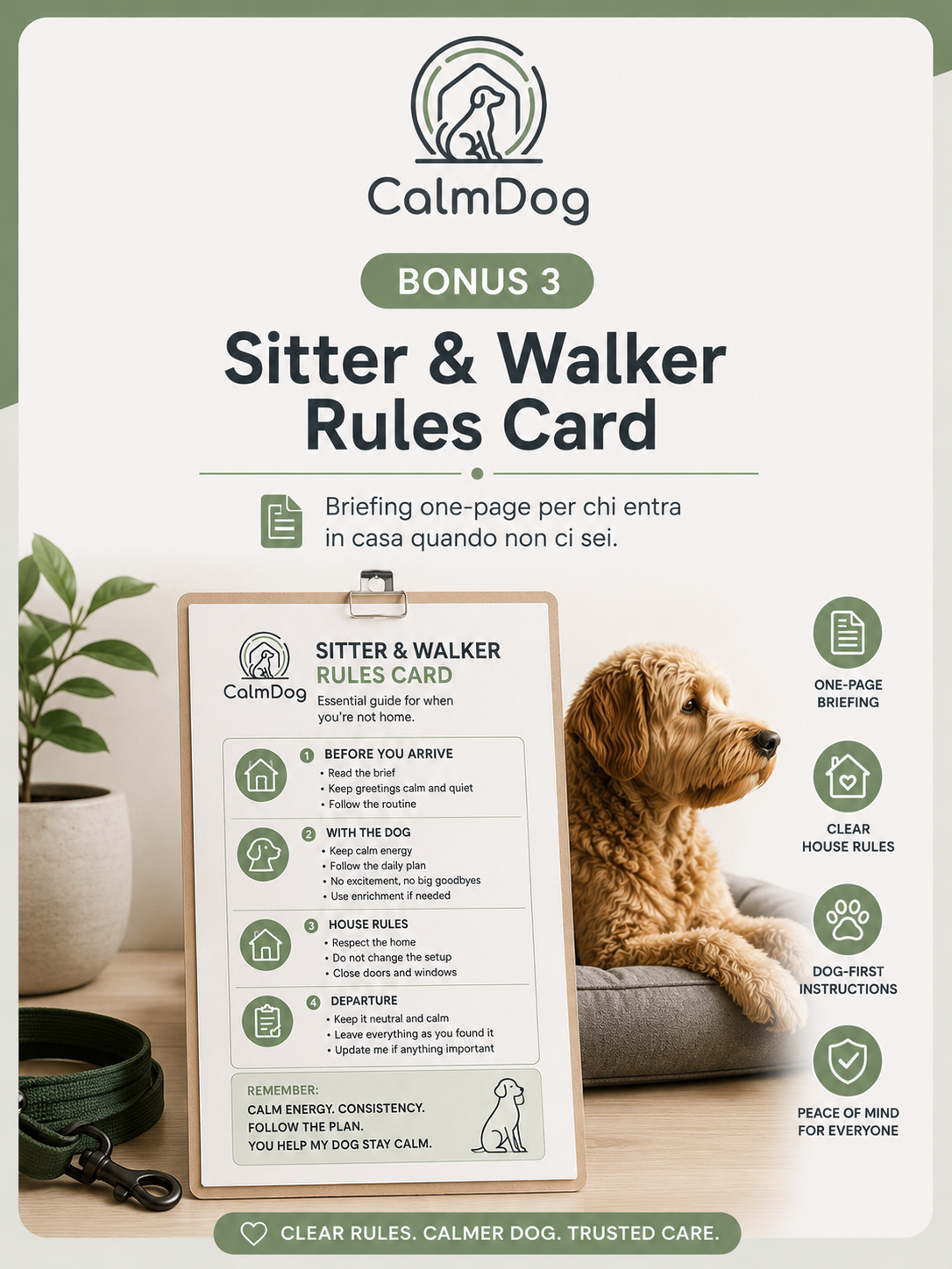 Sitter & Walker Rules Card